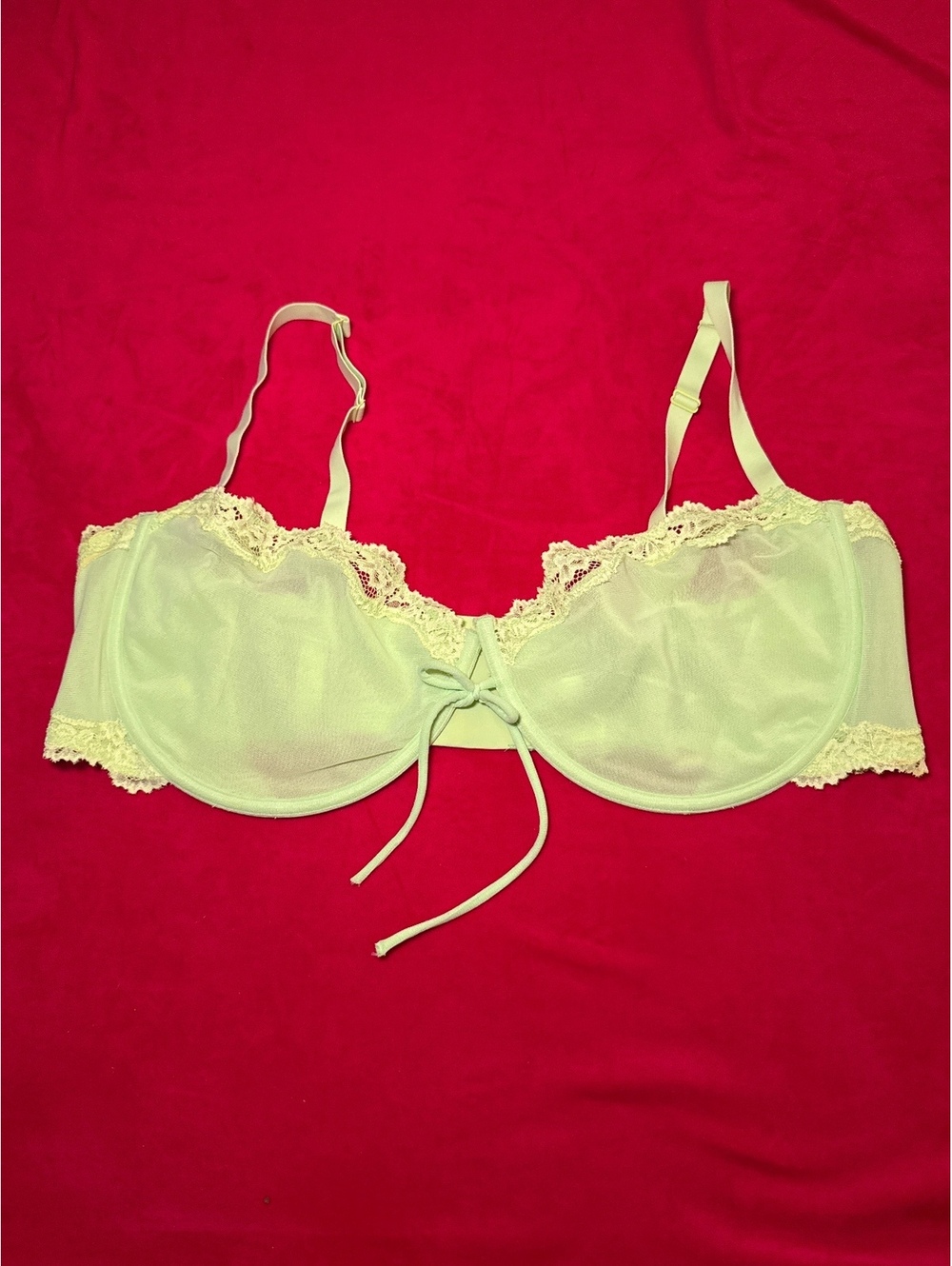 NWOT Skims Summer Mesh Lace Balconette Bra Color Neon Green Size 46DD